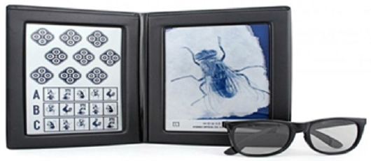 biomedres-openaccess-journal-bjstr