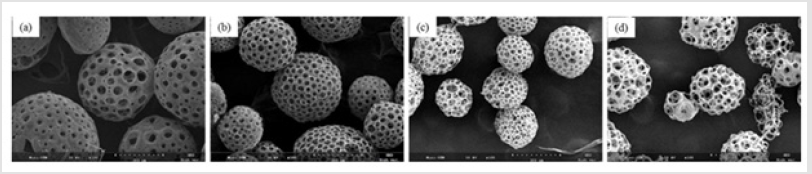 biomedres-openaccess-journal-bjstr