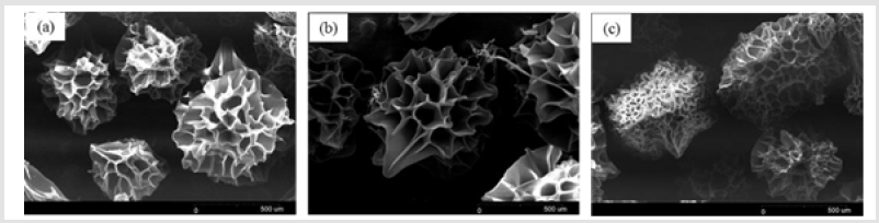 biomedres-openaccess-journal-bjstr