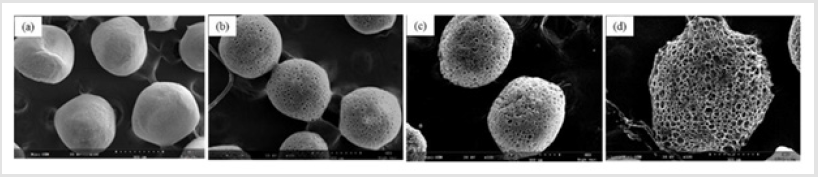 biomedres-openaccess-journal-bjstr