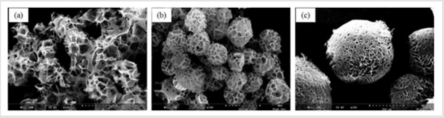 biomedres-openaccess-journal-bjstr