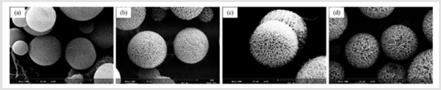 biomedres-openaccess-journal-bjstr
