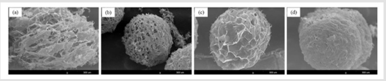 biomedres-openaccess-journal-bjstr