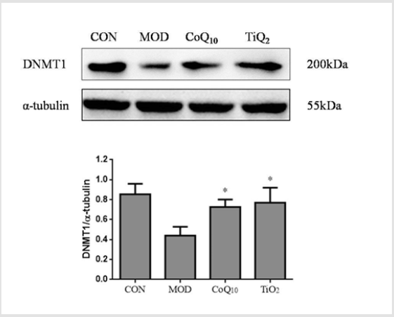 biomedres-openaccess-journal-bjstr