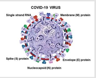 biomedres-openaccess-journal-bjstr