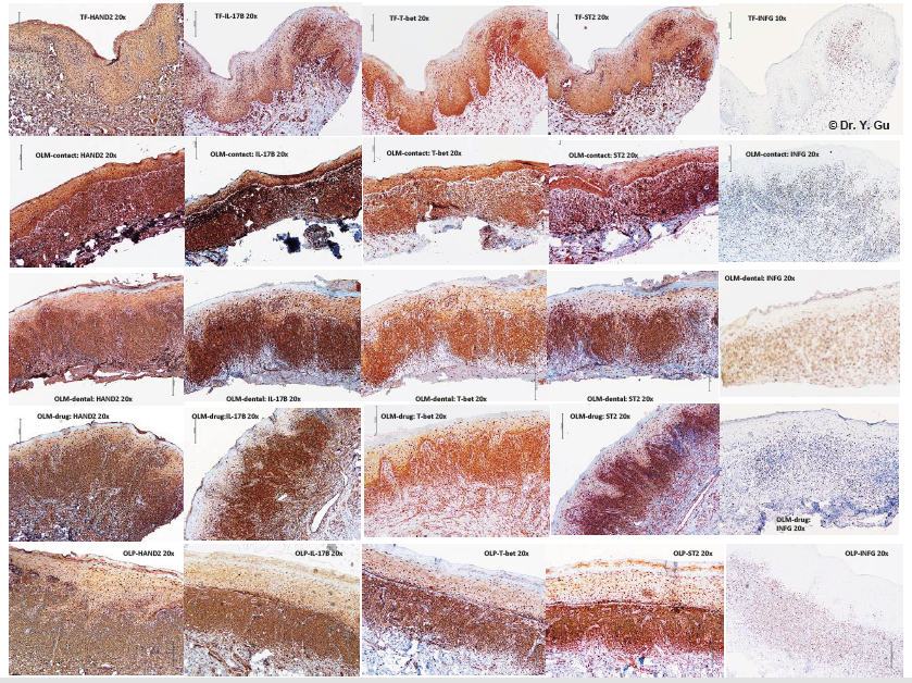 biomedres-openaccess-journal-bjstr