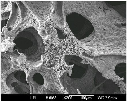 biomedres-openaccess-journal-bjstr