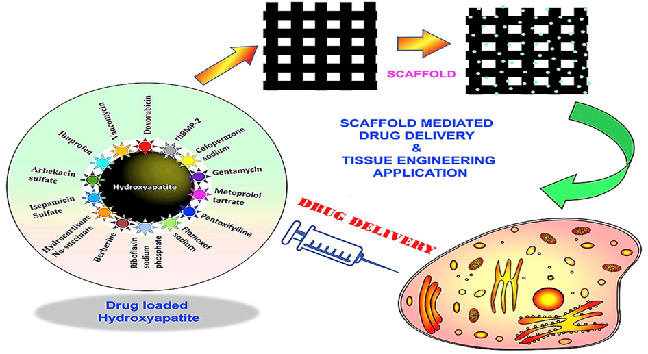 biomedres-openaccess-journal-bjstr
