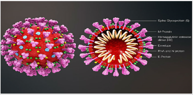 biomedres-openaccess-journal-bjstr