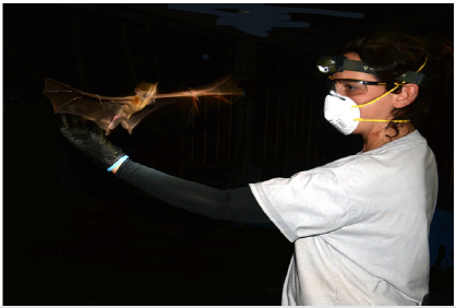 biomedres-openaccess-journal-bjstr