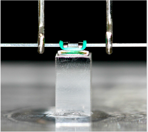 biomedres-openaccess-journal-bjstr