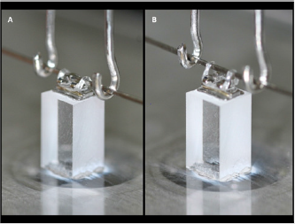 biomedres-openaccess-journal-bjstr