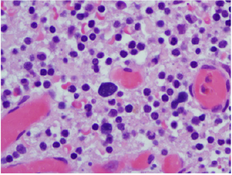 biomedres-openaccess-journal-bjstr