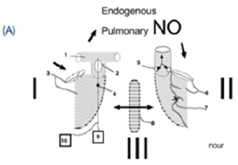 biomedres-openaccess-journal-bjstr