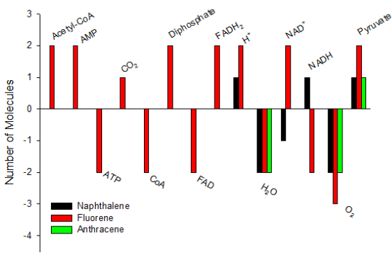 biomedres-openaccess-journal-bjstr