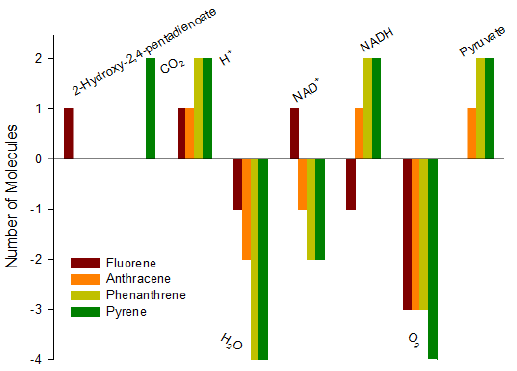 biomedres-openaccess-journal-bjstr