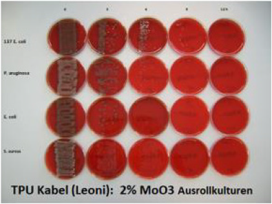 biomedres-openaccess-journal-bjstr