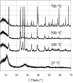 biomedres-openaccess-journal-bjstr