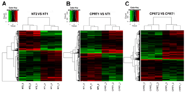 biomedres-openaccess-journal-bjstr