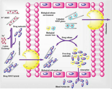 biomedres-openaccess-journal-bjstr