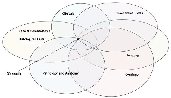 biomedres-openaccess-journal-bjstr