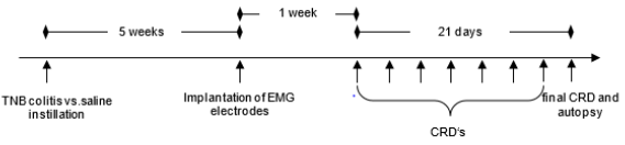 biomedres-openaccess-journal-bjstr