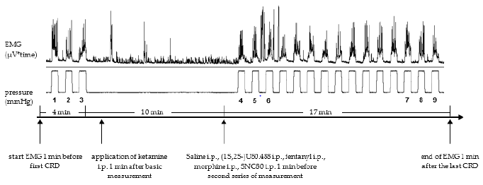 biomedres-openaccess-journal-bjstr
