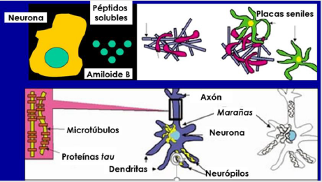 biomedres-openaccess-journal-bjstr