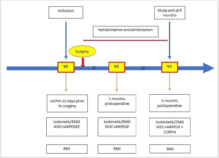 biomedres-openaccess-journal-bjstr