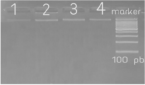 biomedres-openaccess-journal-bjstr