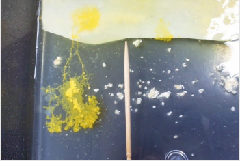 biomedres-openaccess-journal-bjstr