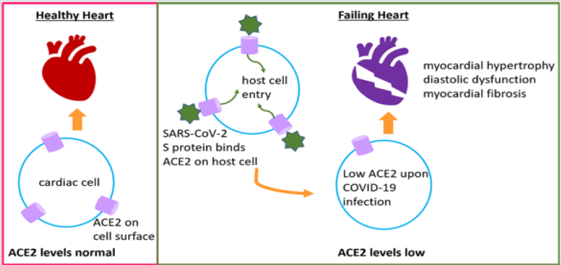 biomedres-openaccess-journal-bjstr