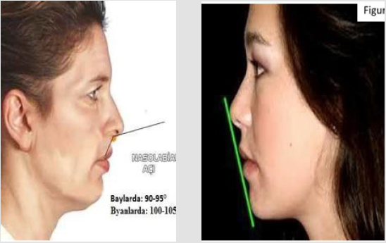 biomedres-openaccess-journal-bjstr