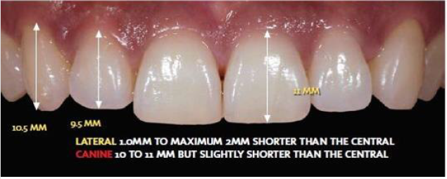 biomedres-openaccess-journal-bjstr