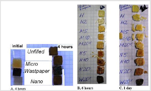 biomedres-openaccess-journal-bjstr