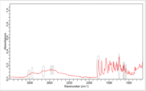 biomedres-openaccess-journal-bjstr