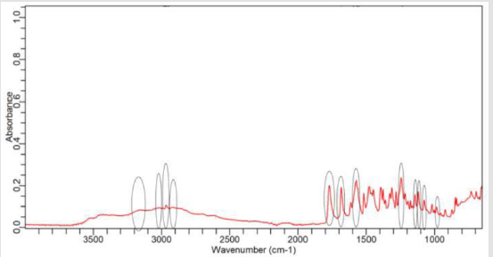 biomedres-openaccess-journal-bjstr