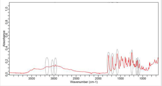 biomedres-openaccess-journal-bjstr