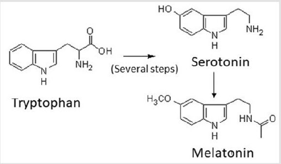 biomedres-openaccess-journal-bjstr