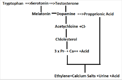 biomedres-openaccess-journal-bjstr
