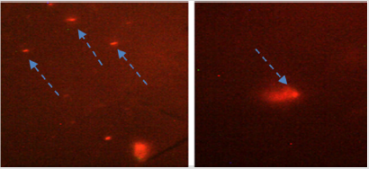 biomedres-openaccess-journal-bjstr