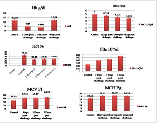 biomedres-openaccess-journal-bjstr