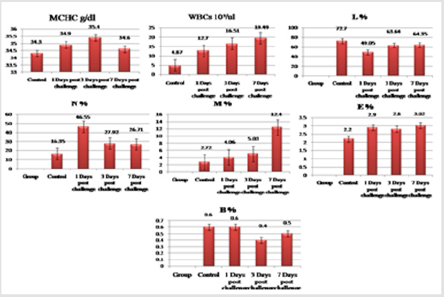 biomedres-openaccess-journal-bjstr