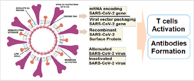 biomedres-openaccess-journal-bjstr