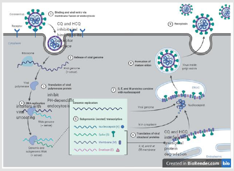 biomedres-openaccess-journal-bjstr