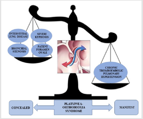 biomedres-openaccess-journal-bjstr