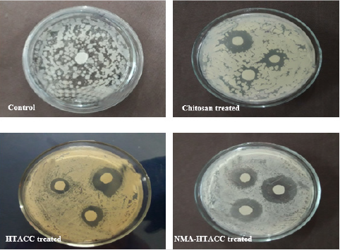 biomedres-openaccess-journal-bjstr