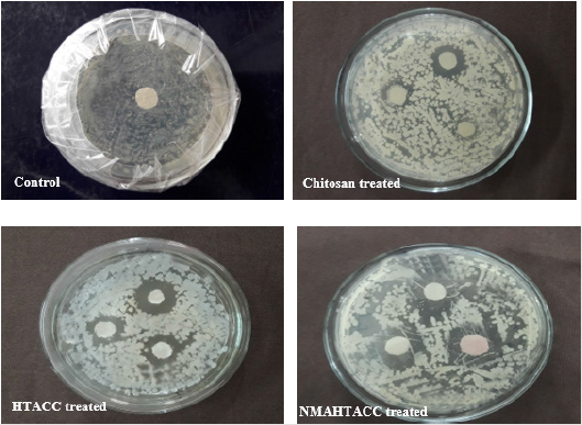 biomedres-openaccess-journal-bjstr