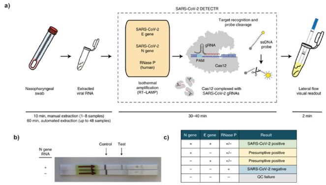 biomedres-openaccess-journal-bjstr