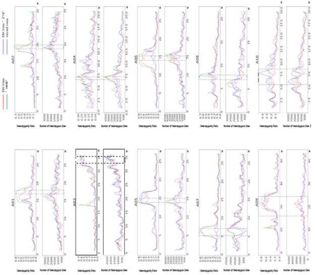 biomedres-openaccess-journal-bjstr
